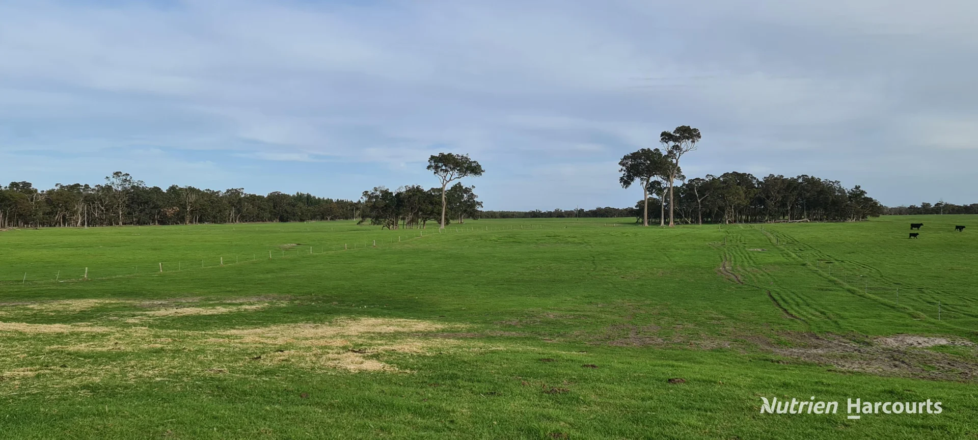 Additional image 8 of 2003 Settlement Road, Napier WA 6330