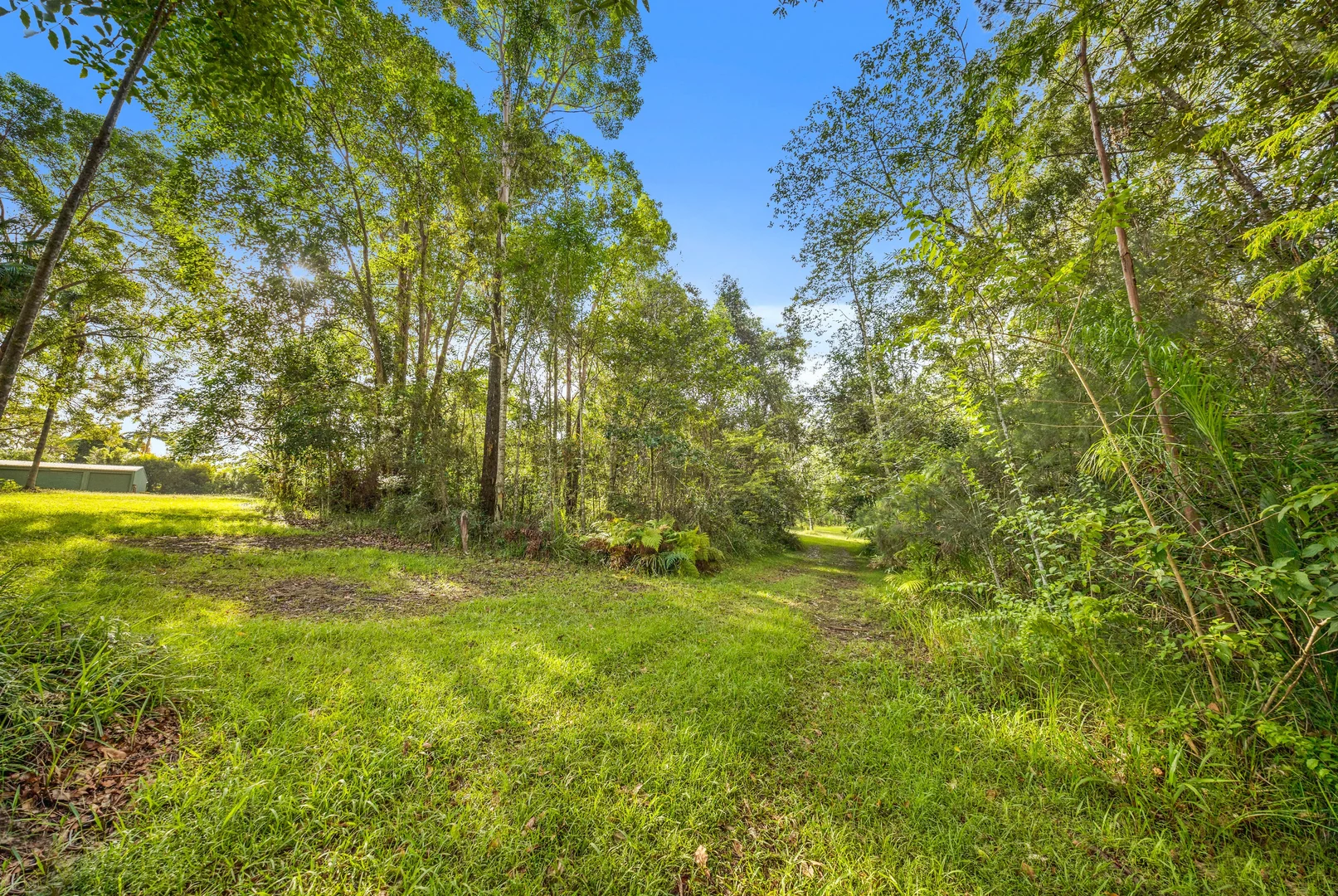 Additional image 19 of 612 Louis Bazzo Drive, Ringtail Creek QLD 4565