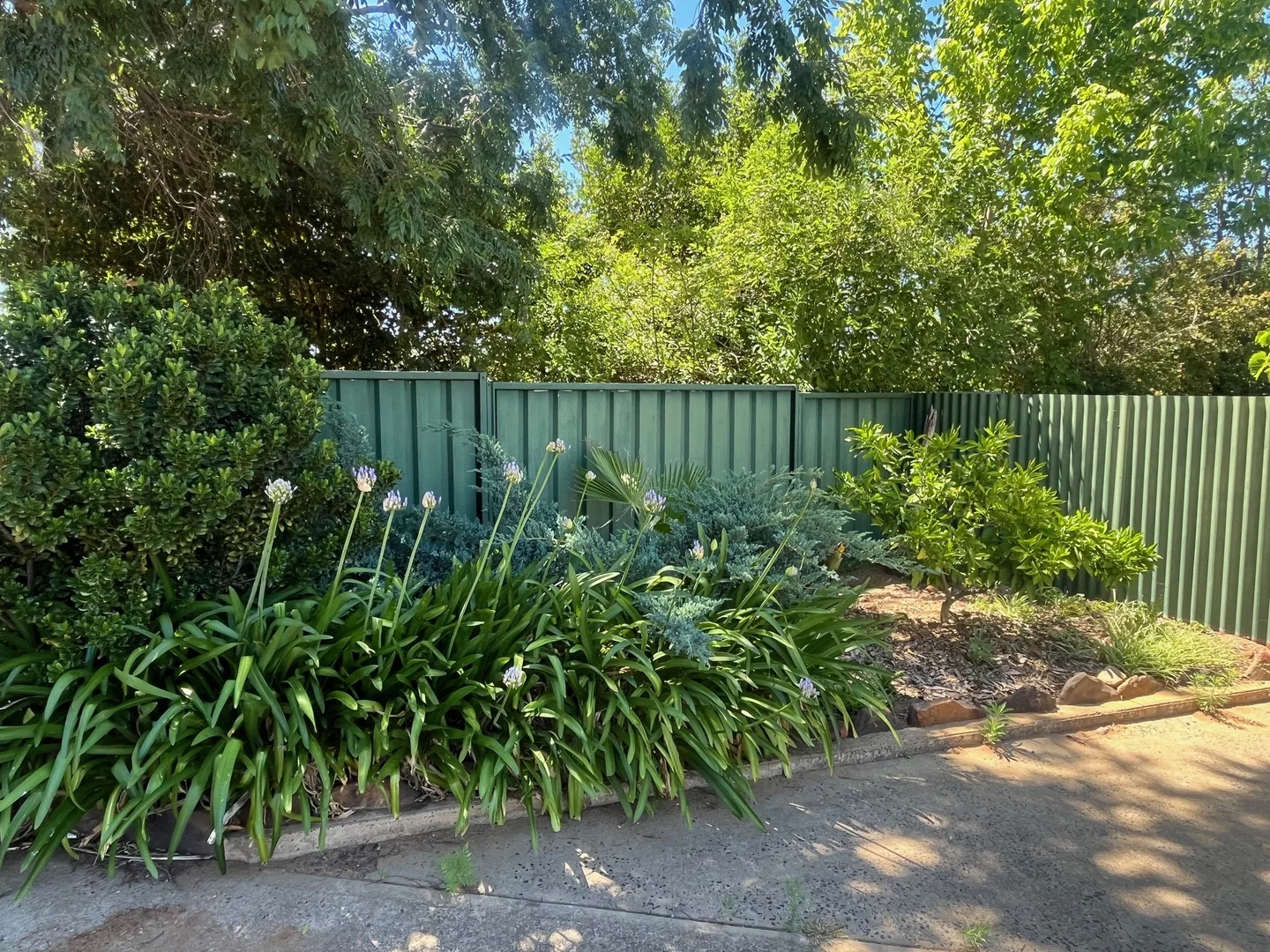 Additional image 13 of 20 Barker Street, Coonabarabran NSW 2357