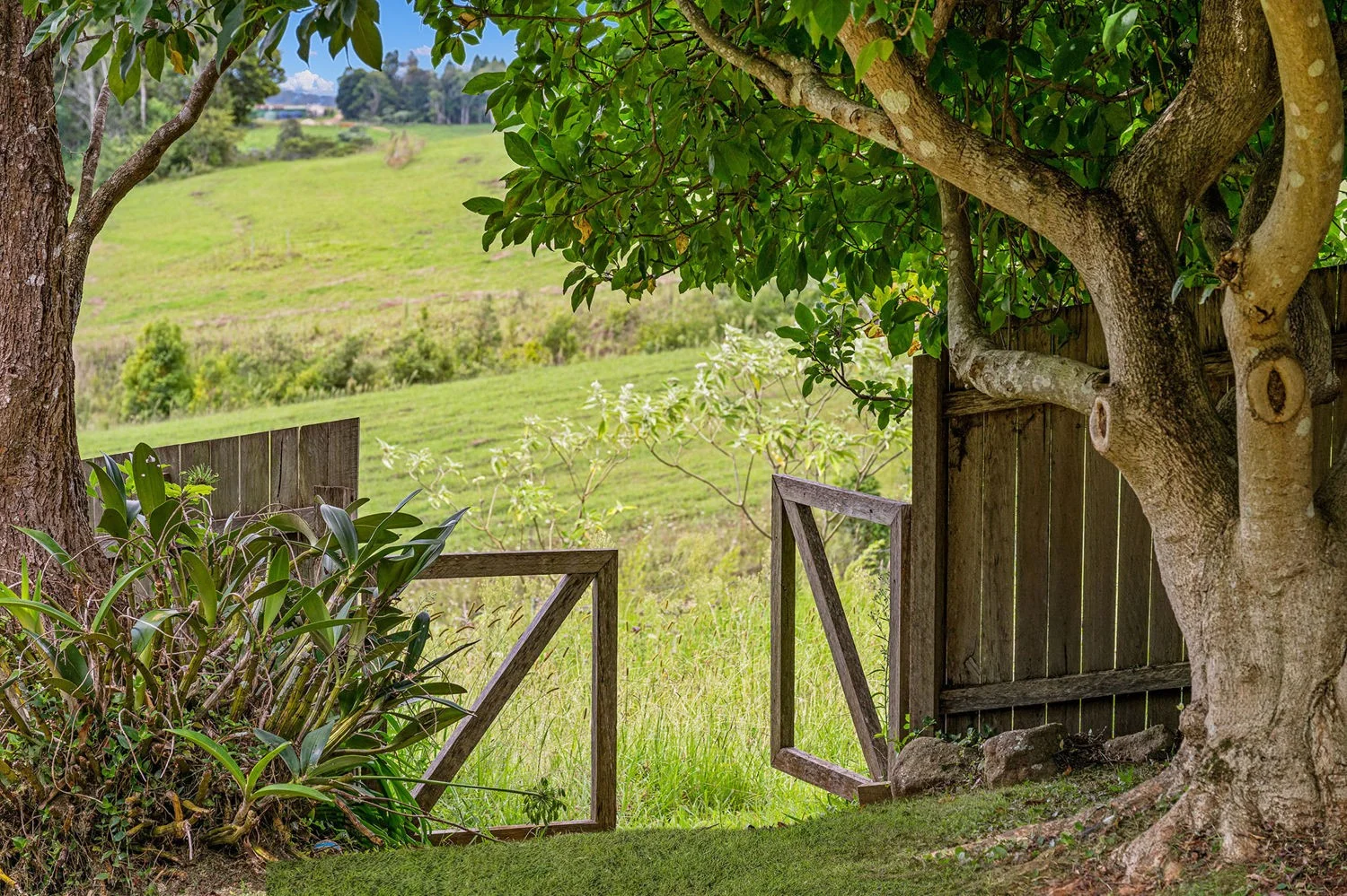 Additional image 29 of 10 Main Street, Comboyne NSW 2429