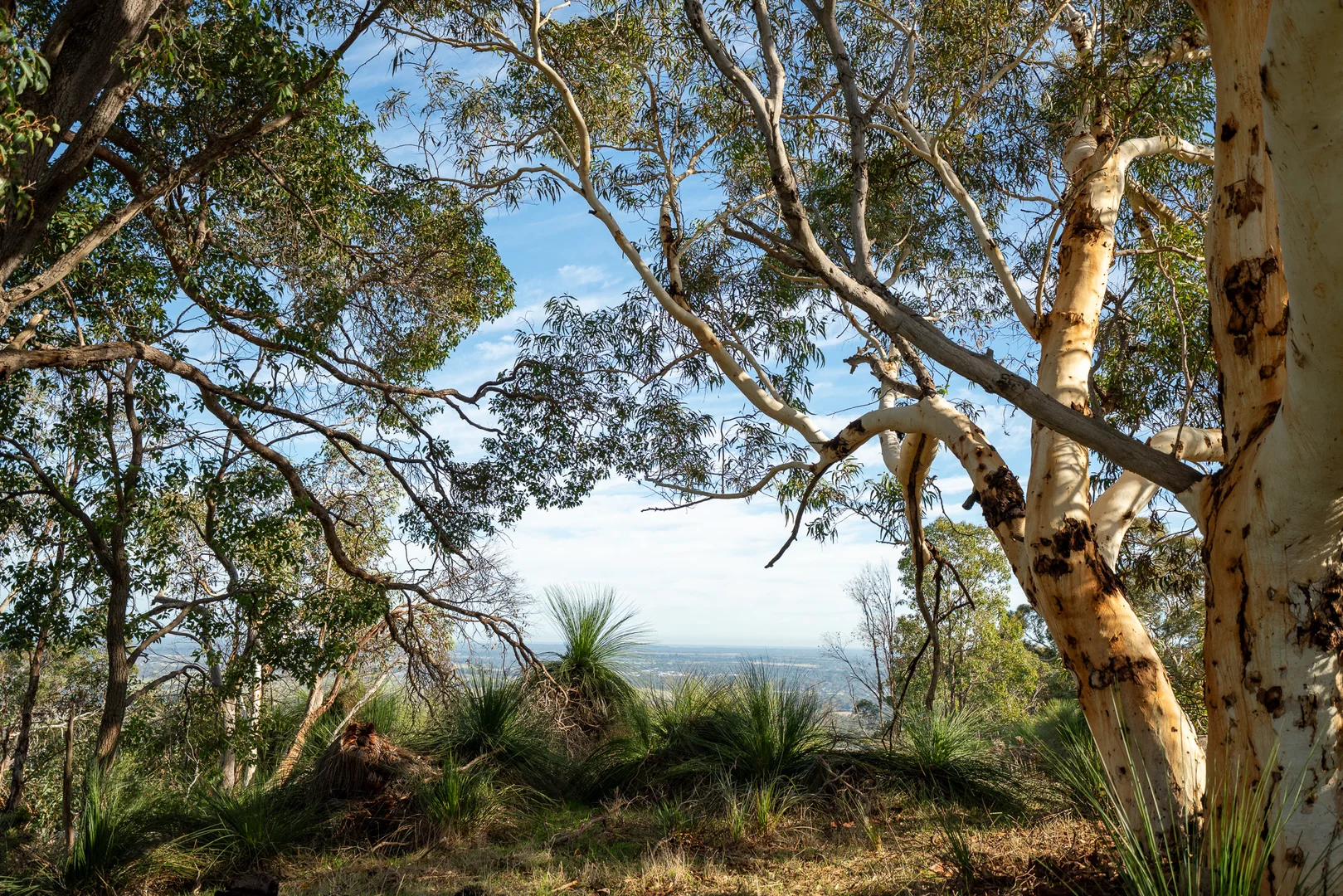 Additional image 17 of North Dandalup WA 6207