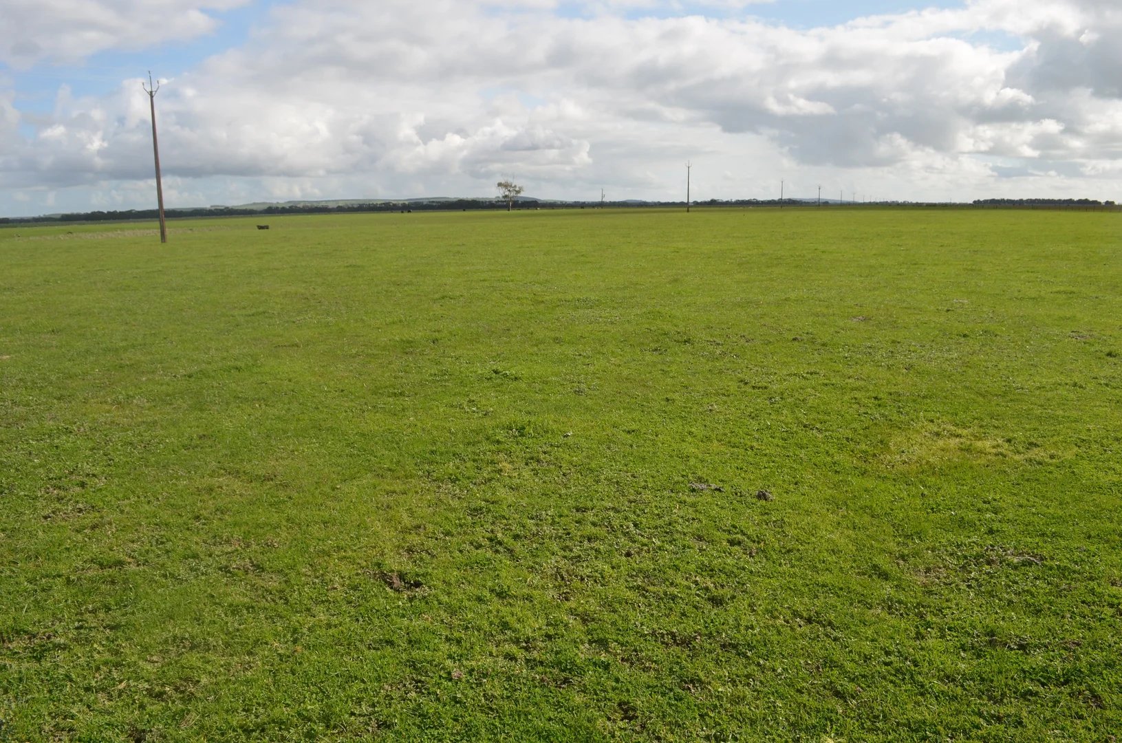 Additional image 9 of 1805 Manga Road, Kalangadoo SA 5278