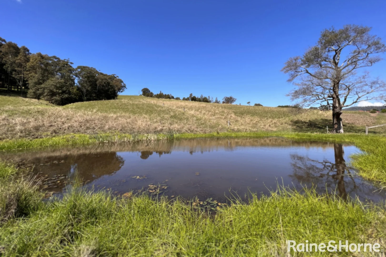 Additional image 17 of 418 Coolangatta Road, Berry NSW 2535