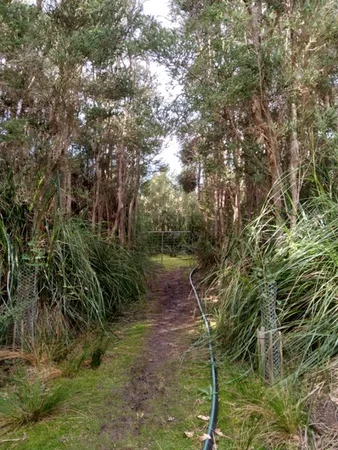 Additional image 13 of 119 Cloudy Bay Road, Lunawanna TAS 7150