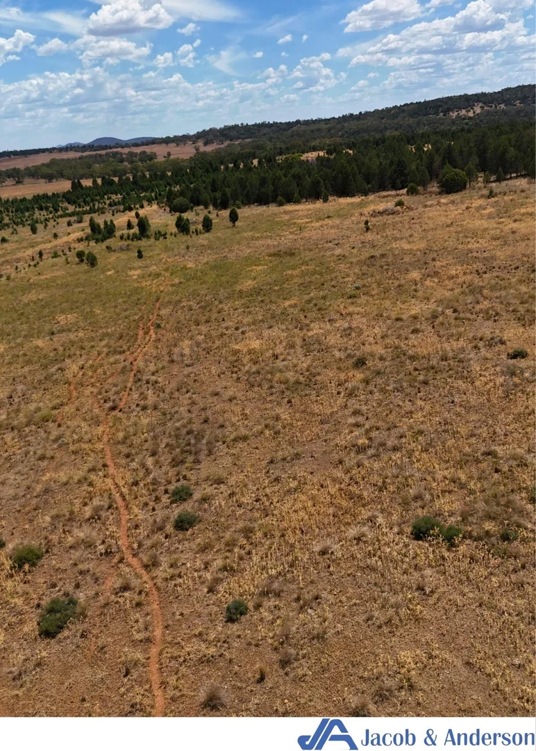 Additional image 19 of 169 Doubleday Road, Gunnedah NSW 2380