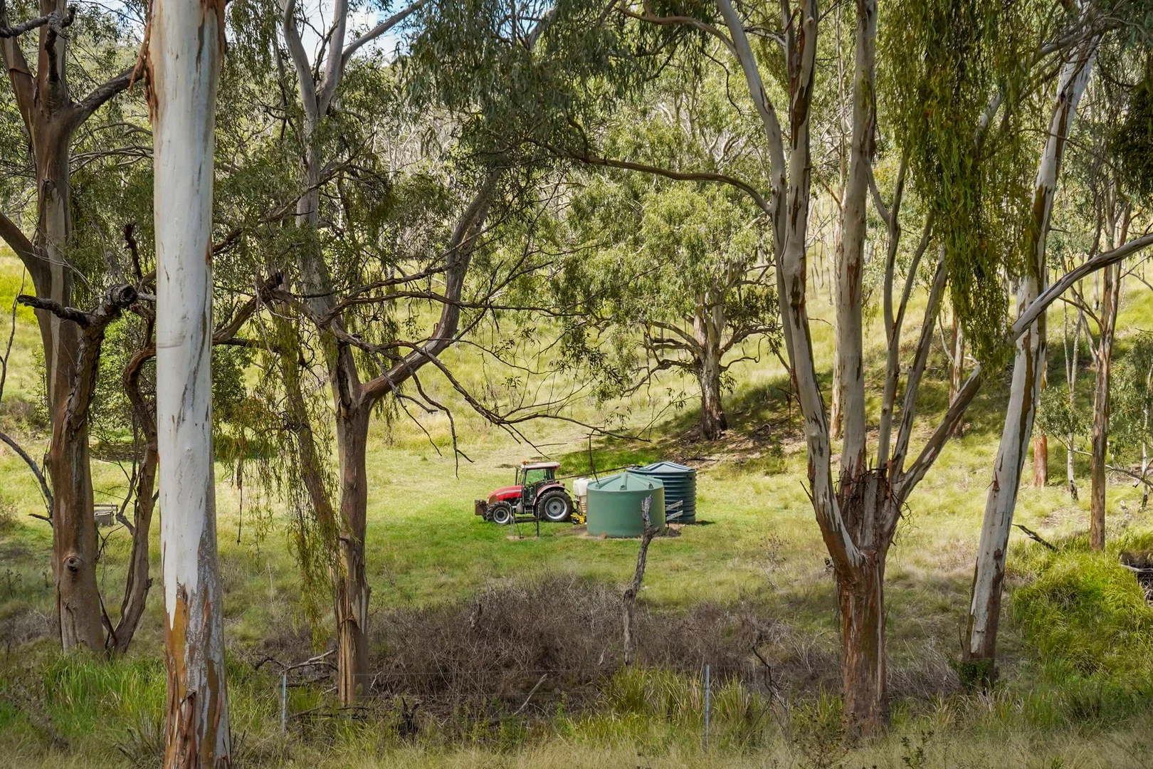 Additional image 14 of "PARADISE" 256 Paradise Road, Mount Sylvia QLD 4343