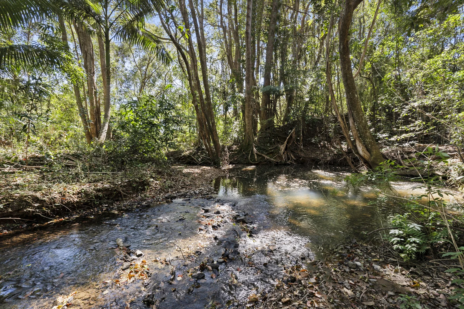 Additional image 3 of Crystal Creek NSW 2484