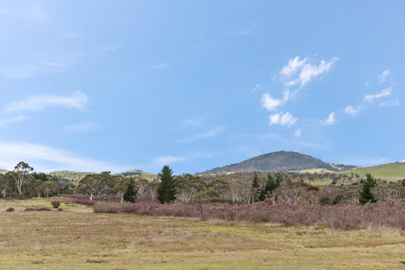 Additional image 33 of 86 Gilberts Lane, Braidwood NSW 2622