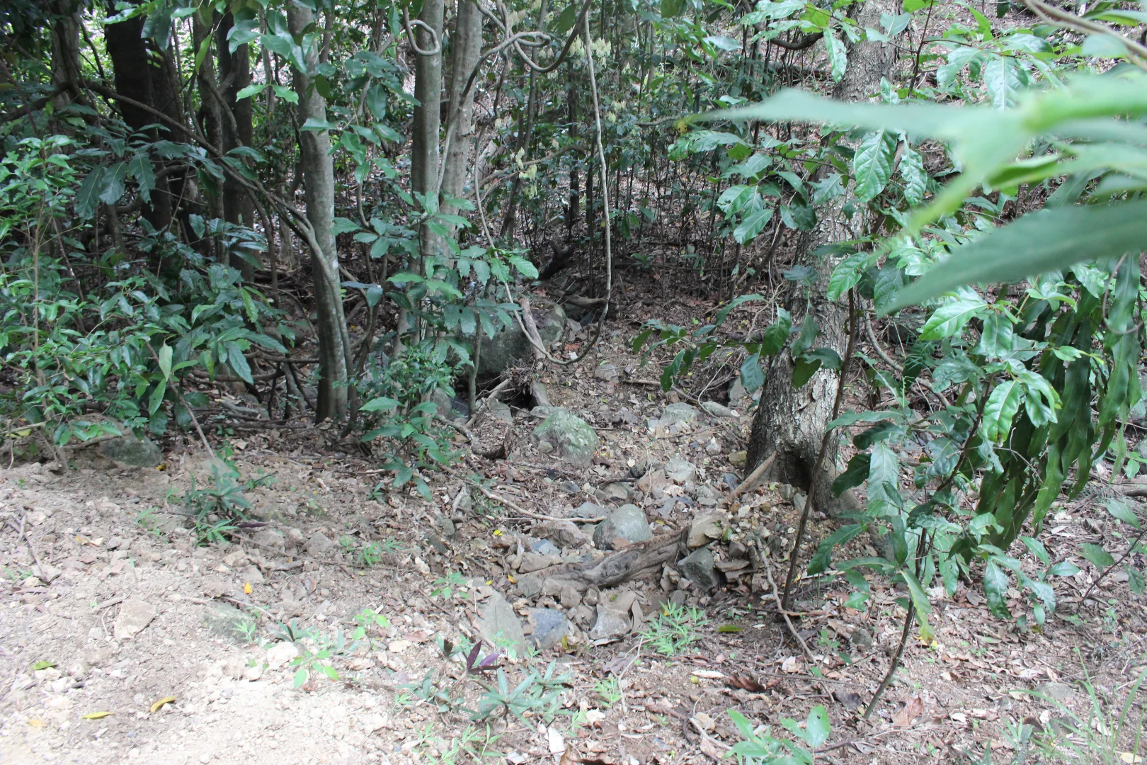 Additional image 26 of 1243 Yakapari-Seaforth Road, Mount Jukes QLD 4740