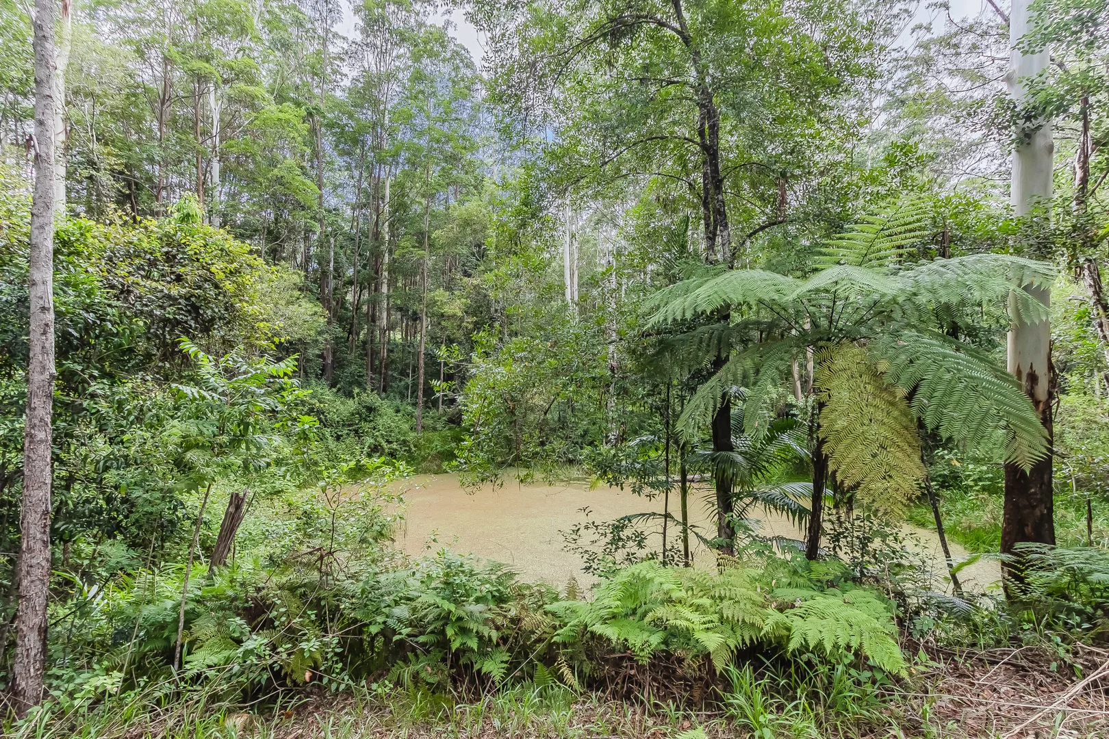 Additional image 7 of 270 Zara Road, Zara NSW 2484