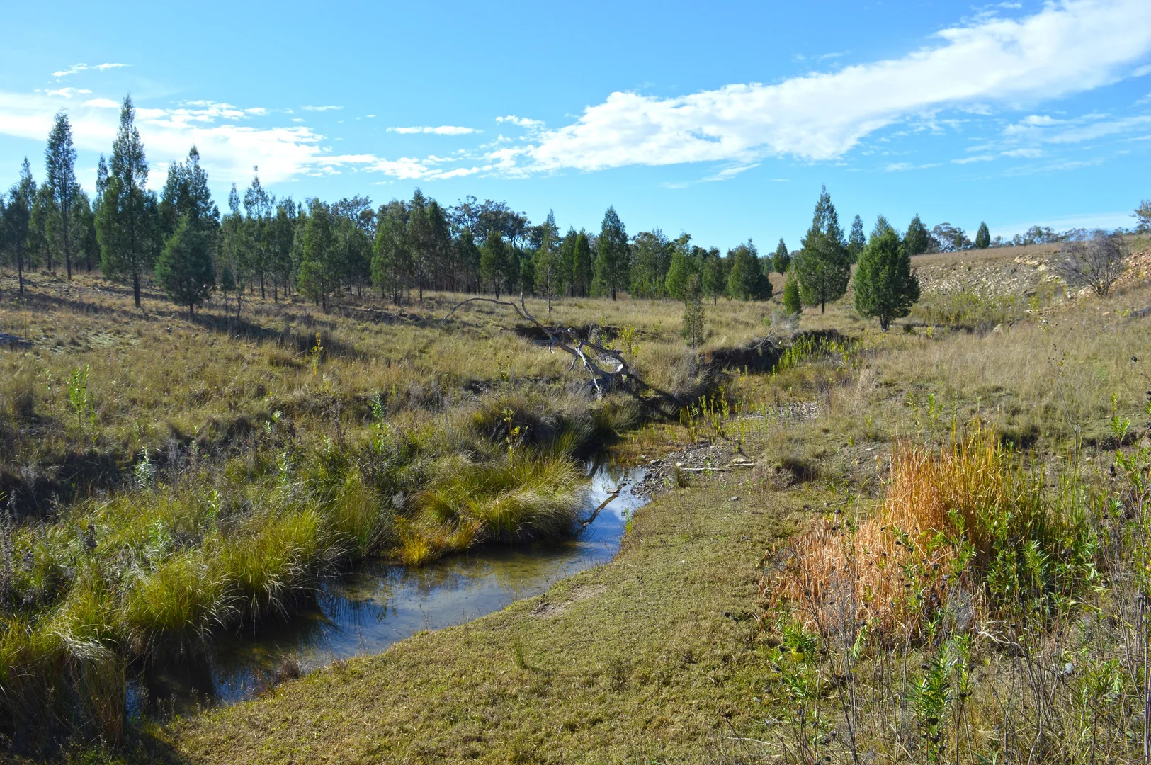 Additional image 2 of Hollybank Road, Inglewood QLD 4387