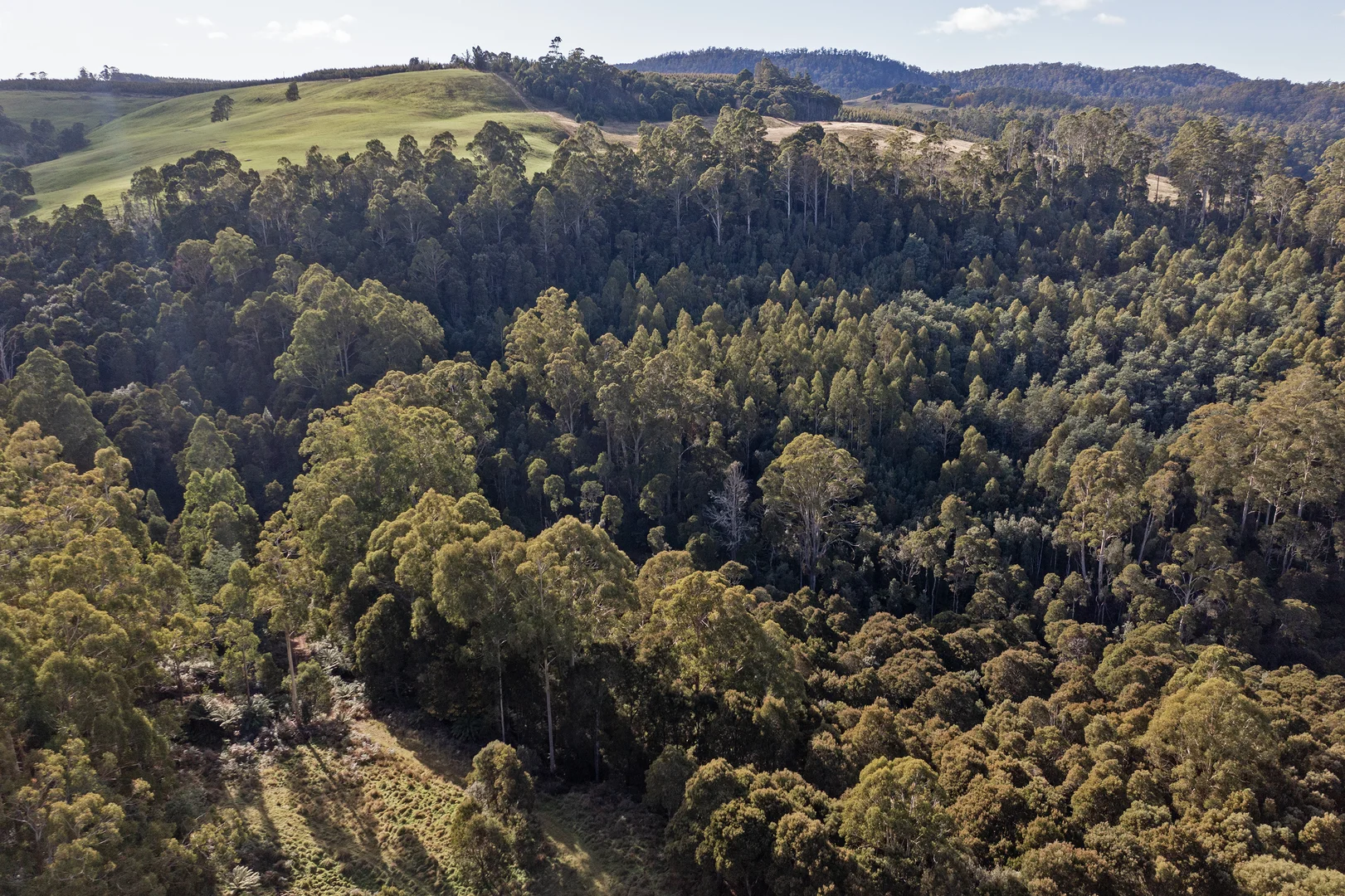 Additional image 8 of Wilmot TAS 7310