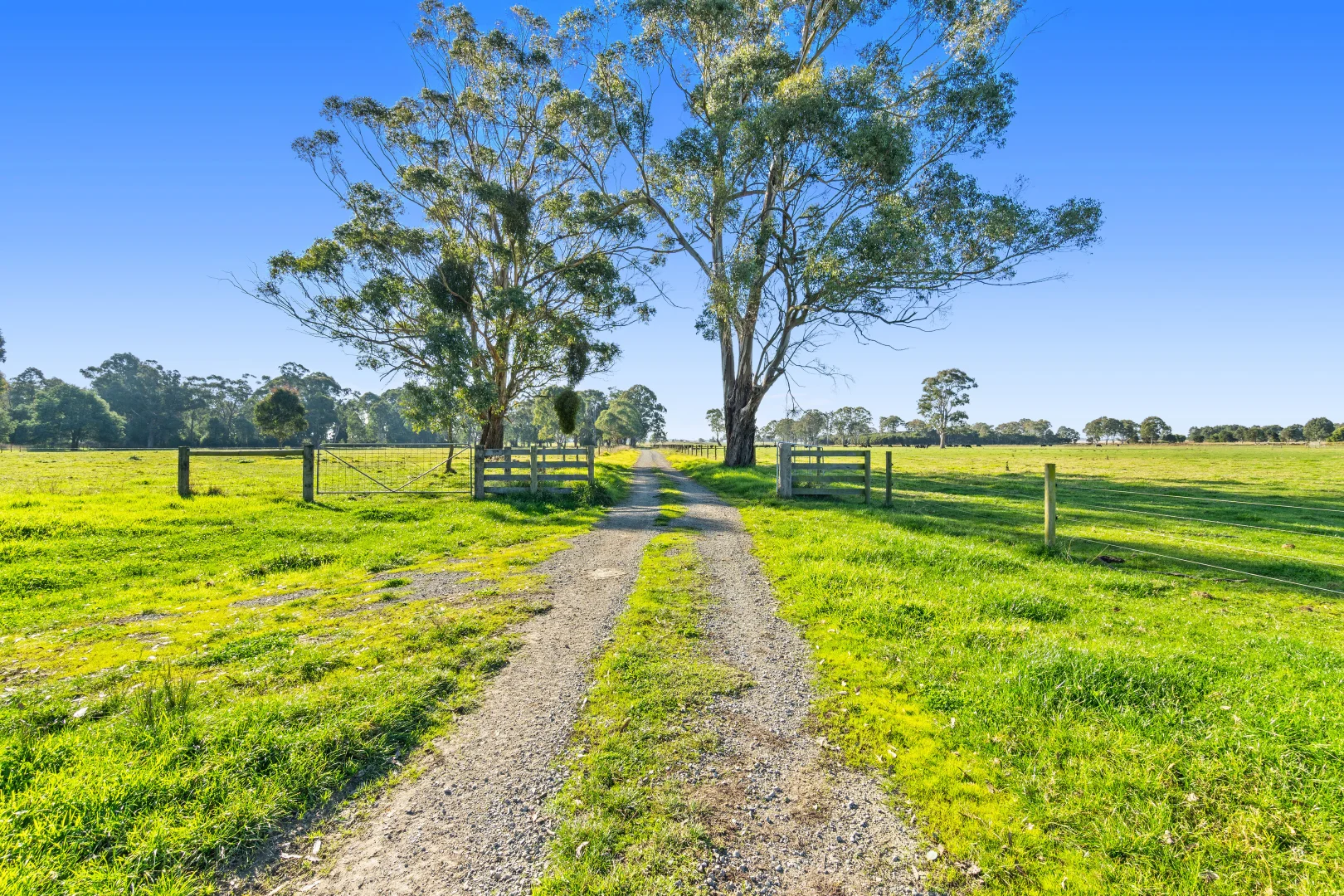 Additional image 24 of 596 Settlement Road, Kilmany VIC 3851