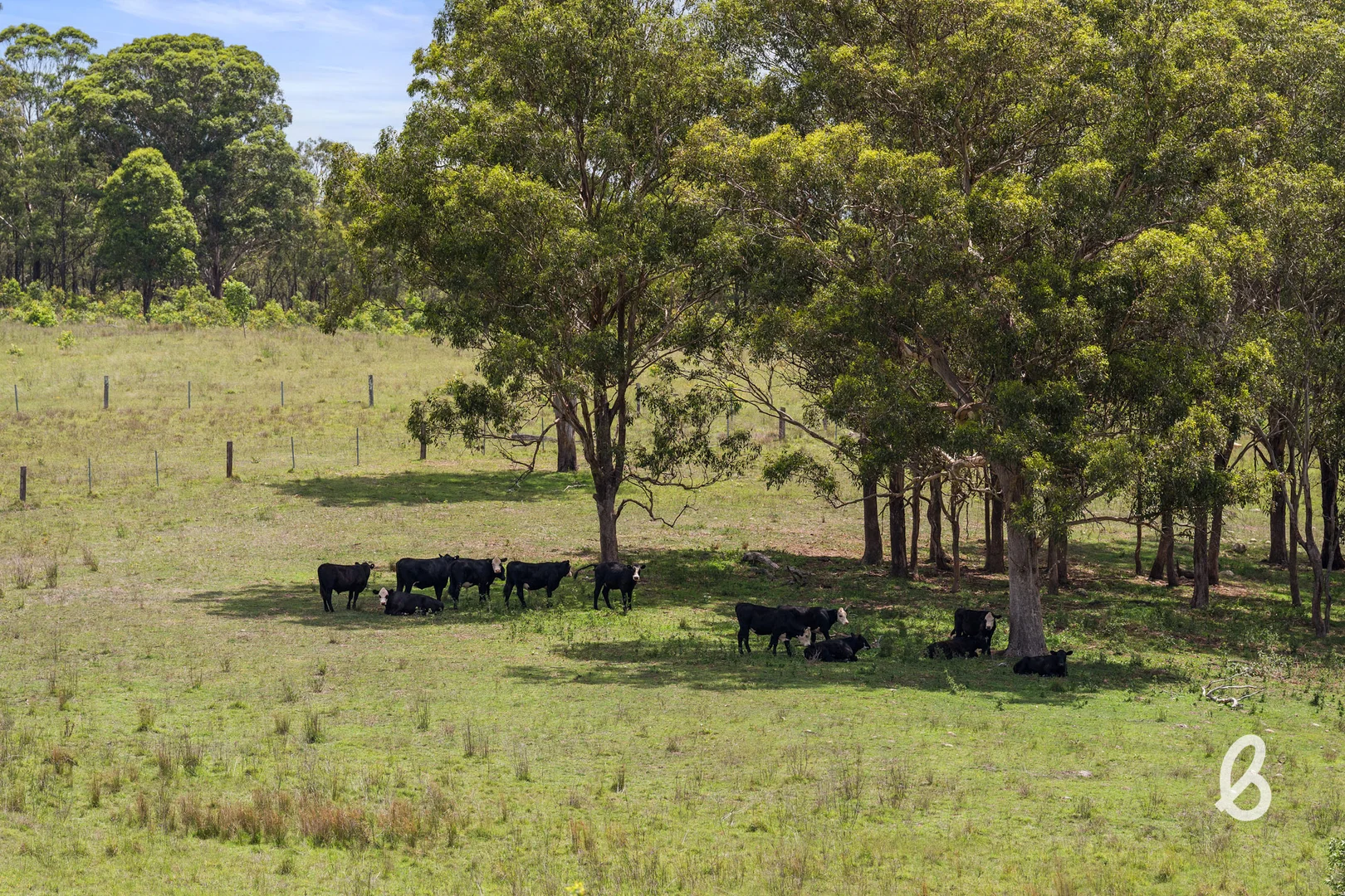 Additional image 85 of 88 Glenalister Road, Stanhope NSW 2335