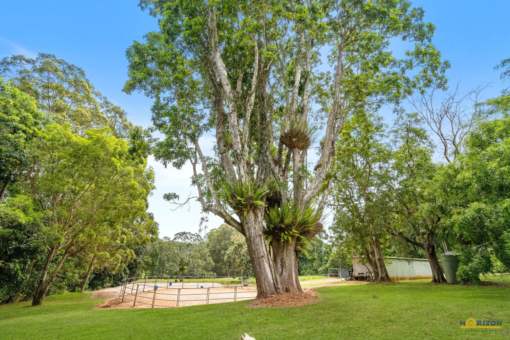 Additional image 26 of 218 Ball Road, Peeramon QLD 4885