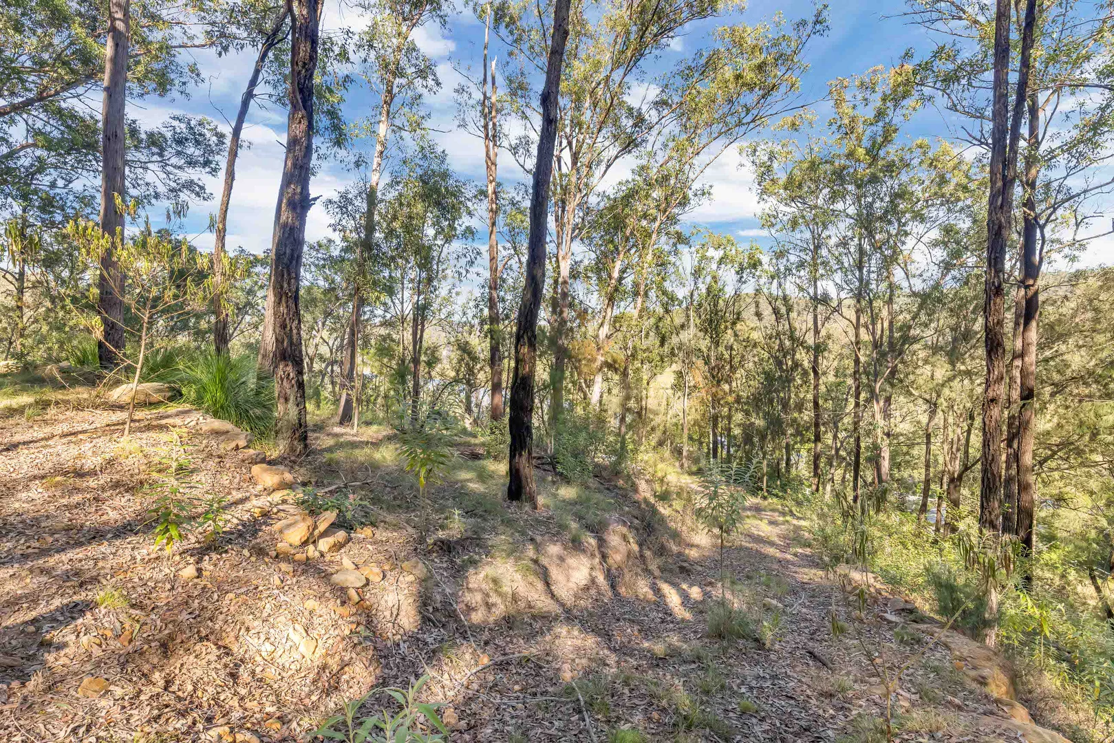 Additional image 12 of 62 Settlers Road, Wisemans Ferry NSW 2775