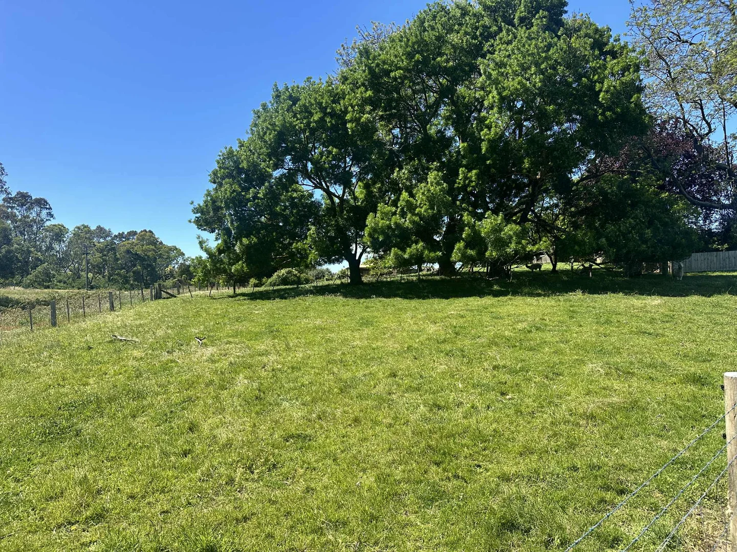 Additional image 6 of 46 Bruthen-Nowa Nowa Road, Bruthen VIC 3885