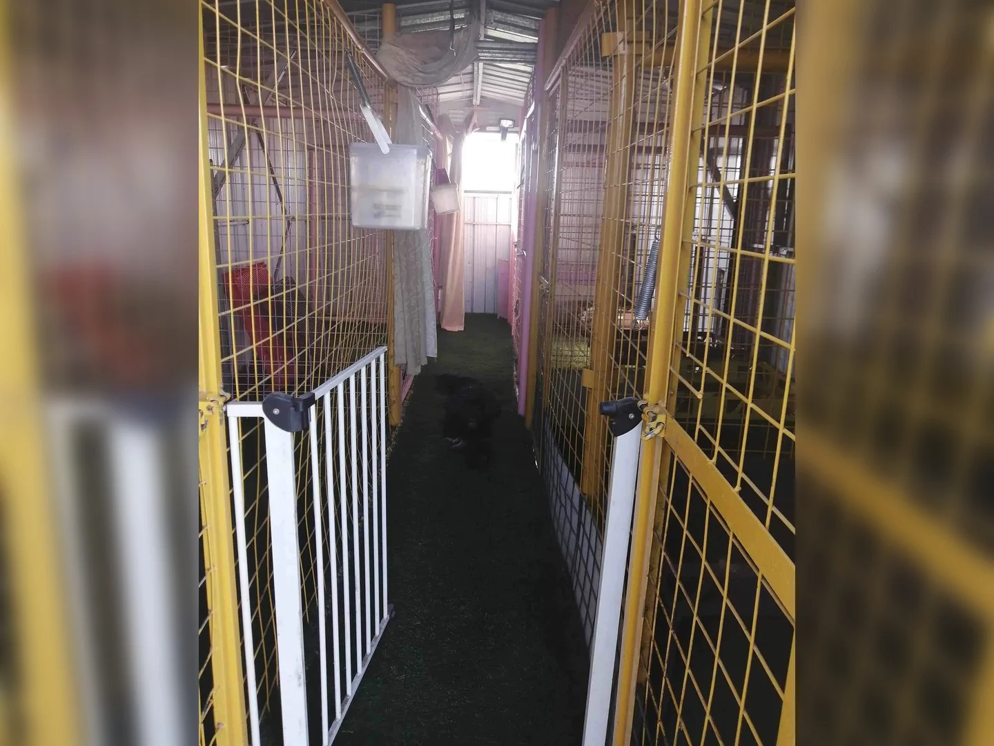 Additional image 28 of 9 Short Street, Deepwater NSW 2371