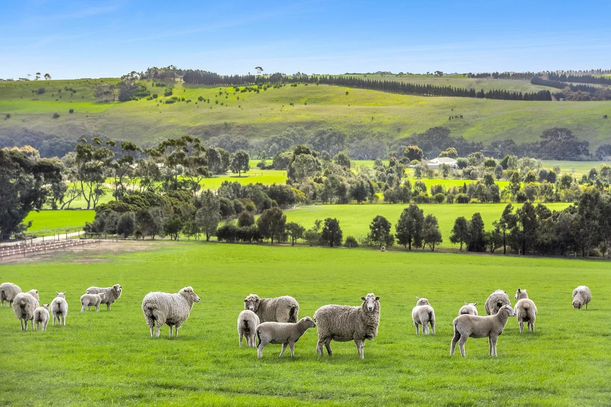 Additional image 2 of 2/223 Bakers Road, Russells Bridge VIC 3331