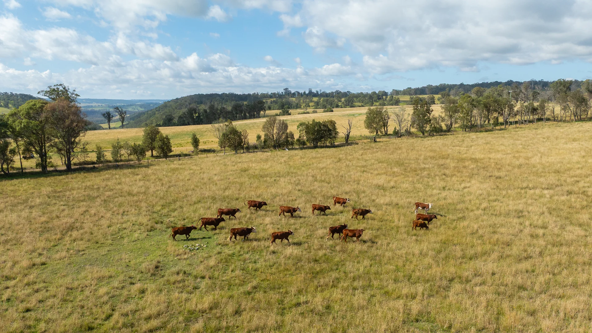 Additional image 2 of "Glen Bluff" 222 Riverview Road, Wards Mistake NSW 2350