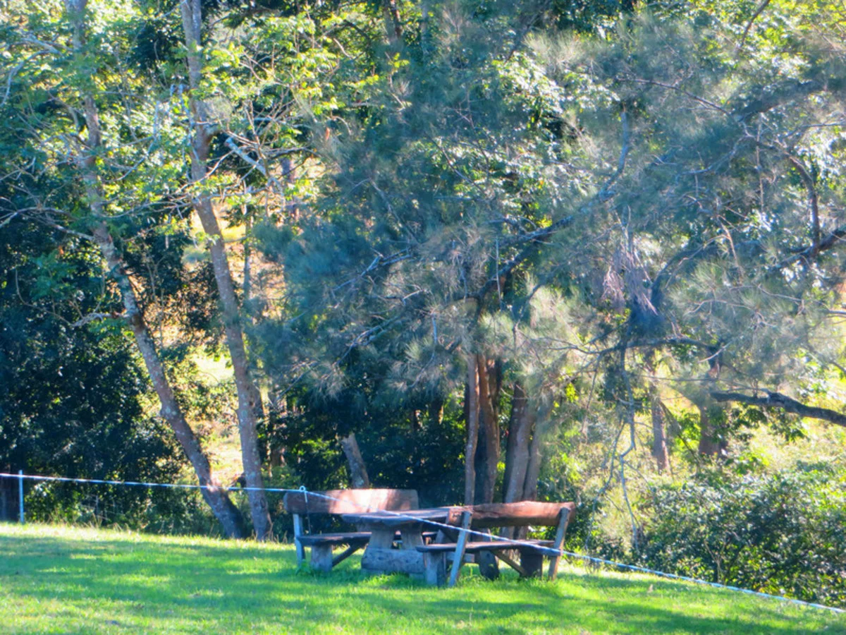 Additional image 29 of 602 Gradys Creek Road, Kyogle NSW 2474