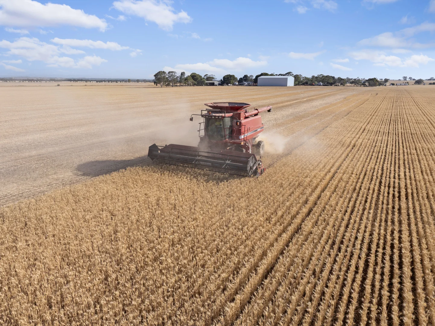 Additional image 19 of 'Leske Farm' Thiele Highway, Freeling SA 5372