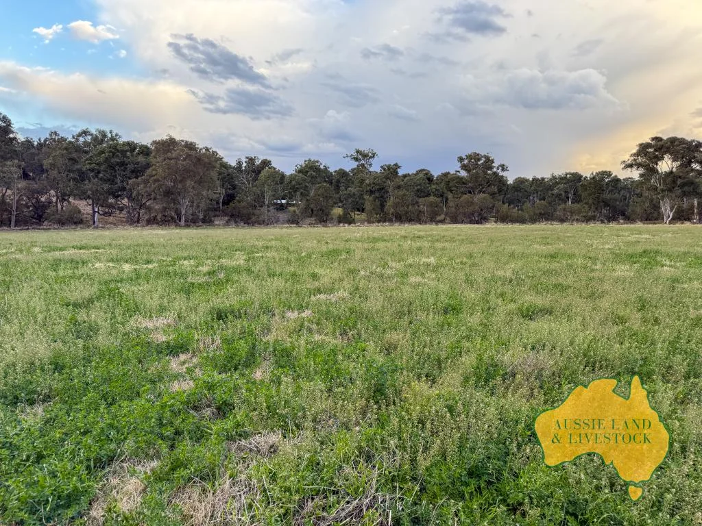 Additional image 26 of 250 Heights Road, Nanango QLD 4615