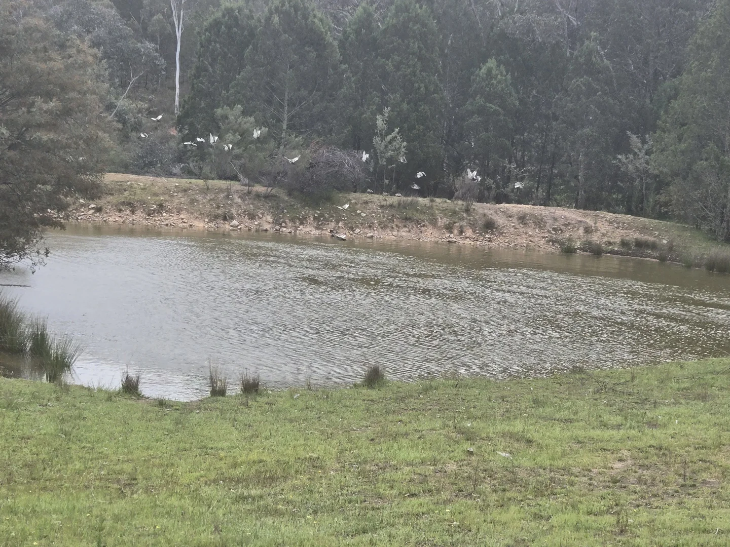 Additional image 3 of 1657 Kangarooby Road, Gooloogong NSW 2805