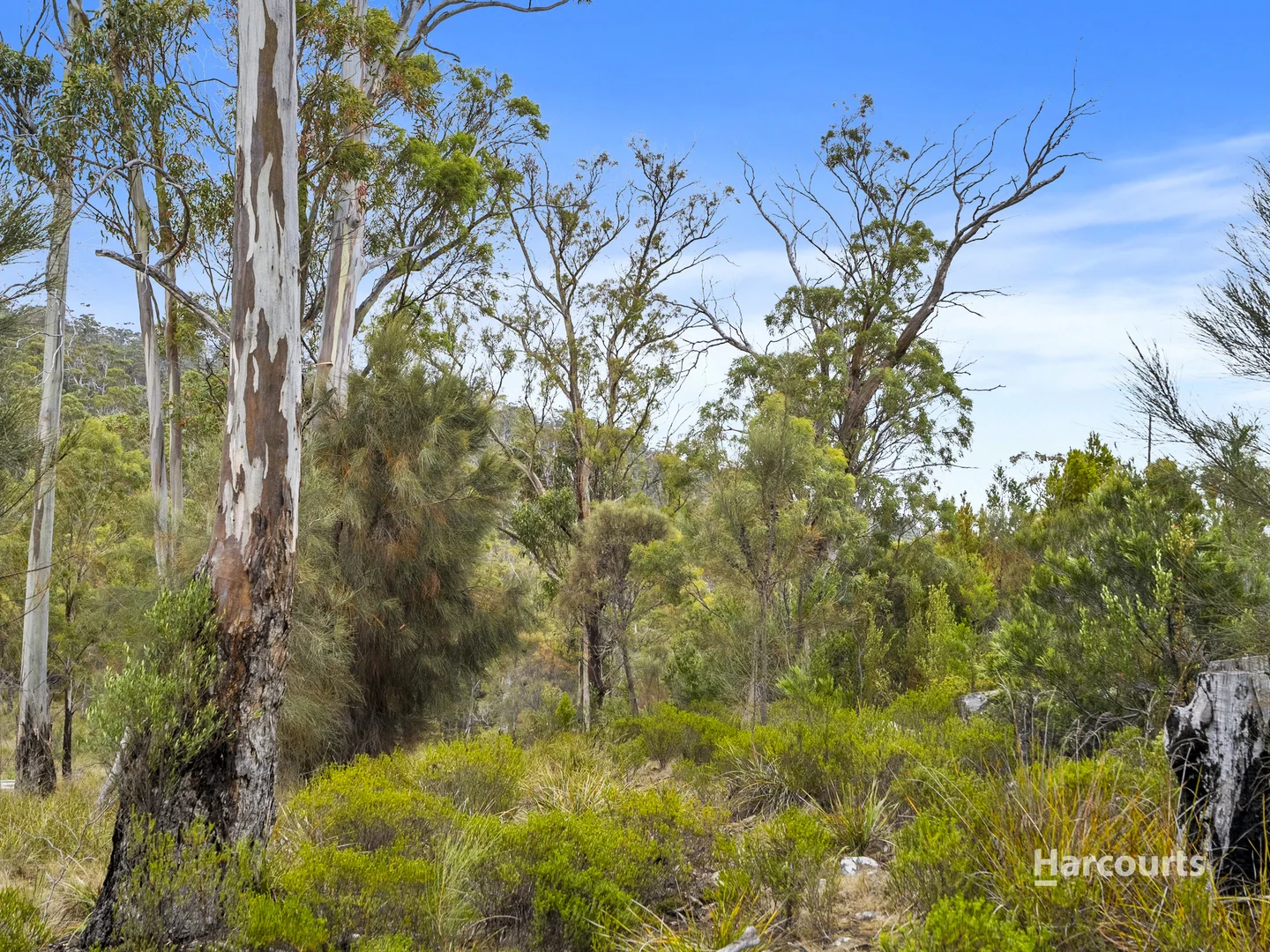 Additional image 7 of Mary Street, Orford TAS 7190