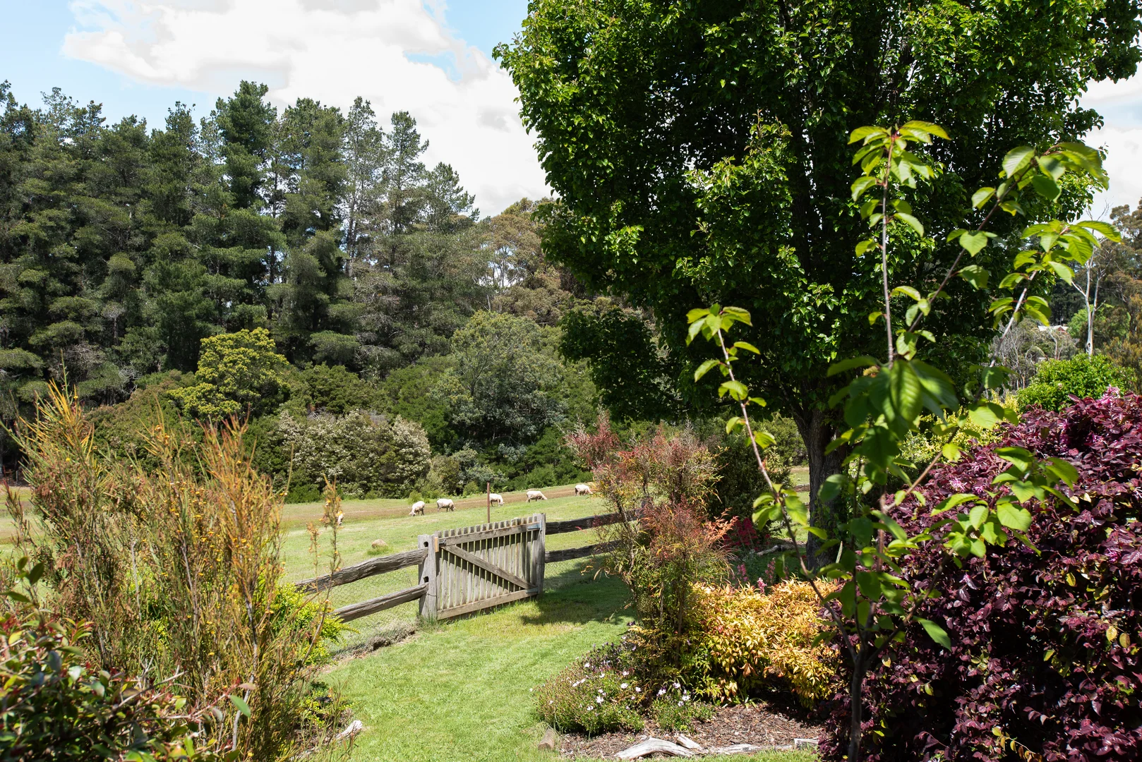 Additional image 18 of 5 Acropolis Drive, Legana TAS 7277