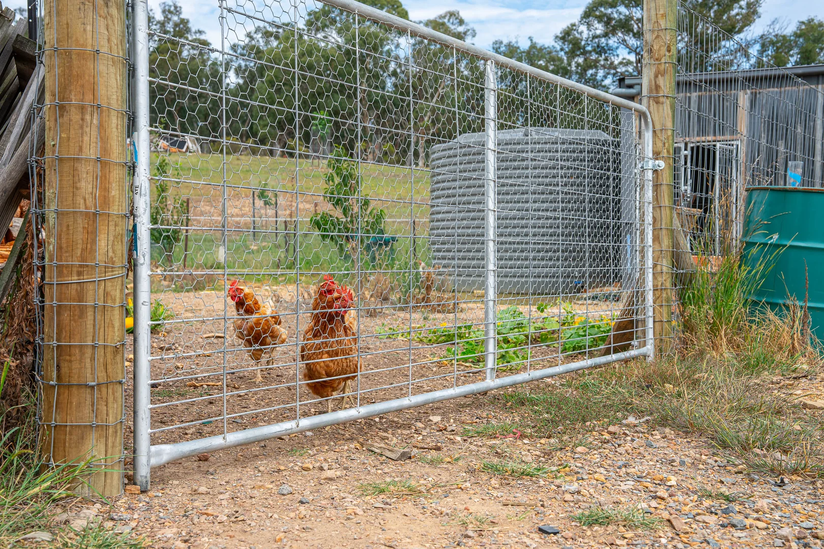 Additional image 23 of 48 Robinson Road, Boxers Creek via, Goulburn NSW 2580