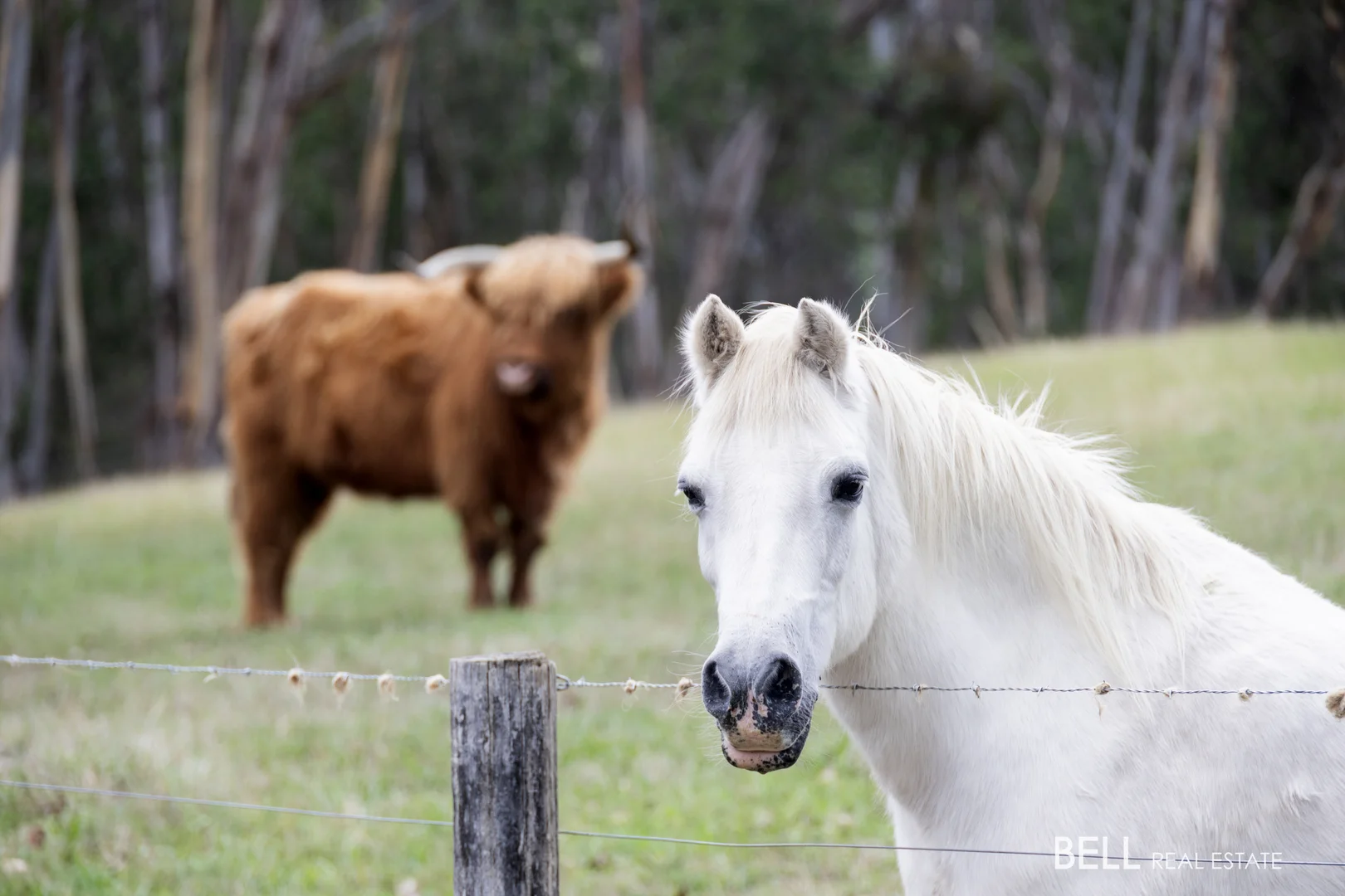 Additional image 4 of 15 James Lane, Hoddles Creek VIC 3139