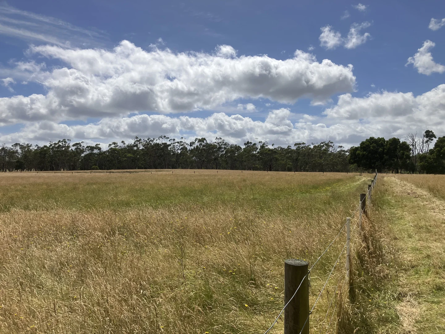 Additional image 11 of 12 Johnson Siding Rd, Greenwald VIC 3304