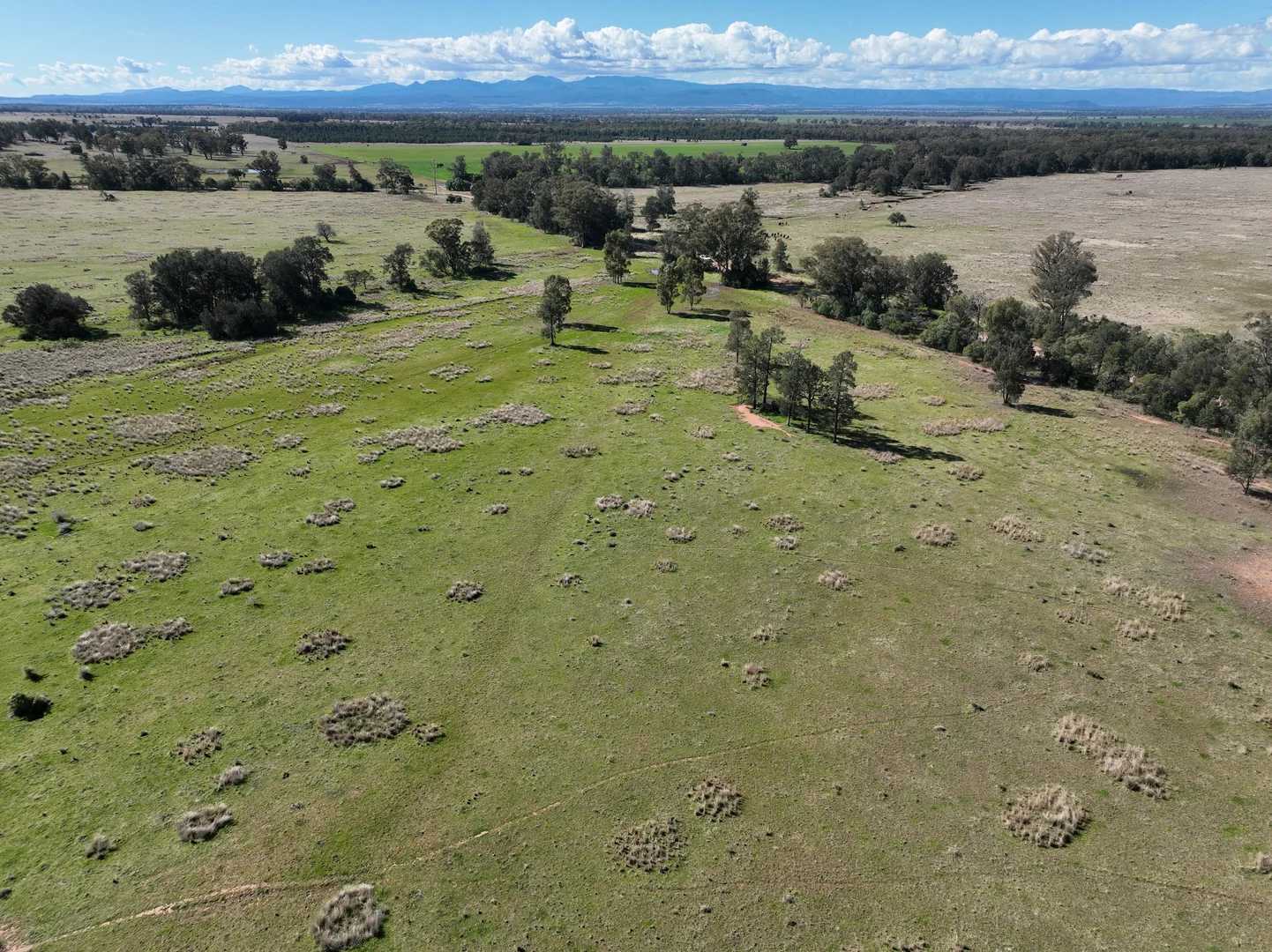 Additional image 11 of 635 Mayfield Road, Narrabri NSW 2390