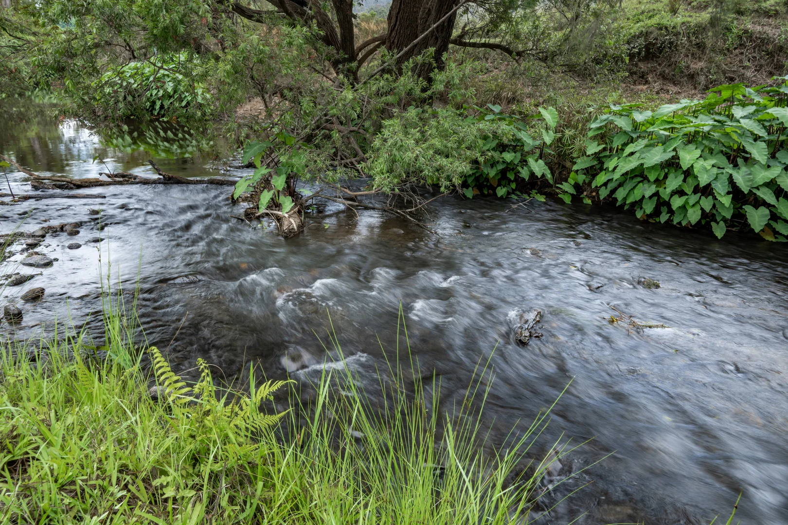 Additional image 34 of 2567 Beaudesert Nerang Road, Benobble QLD 4275