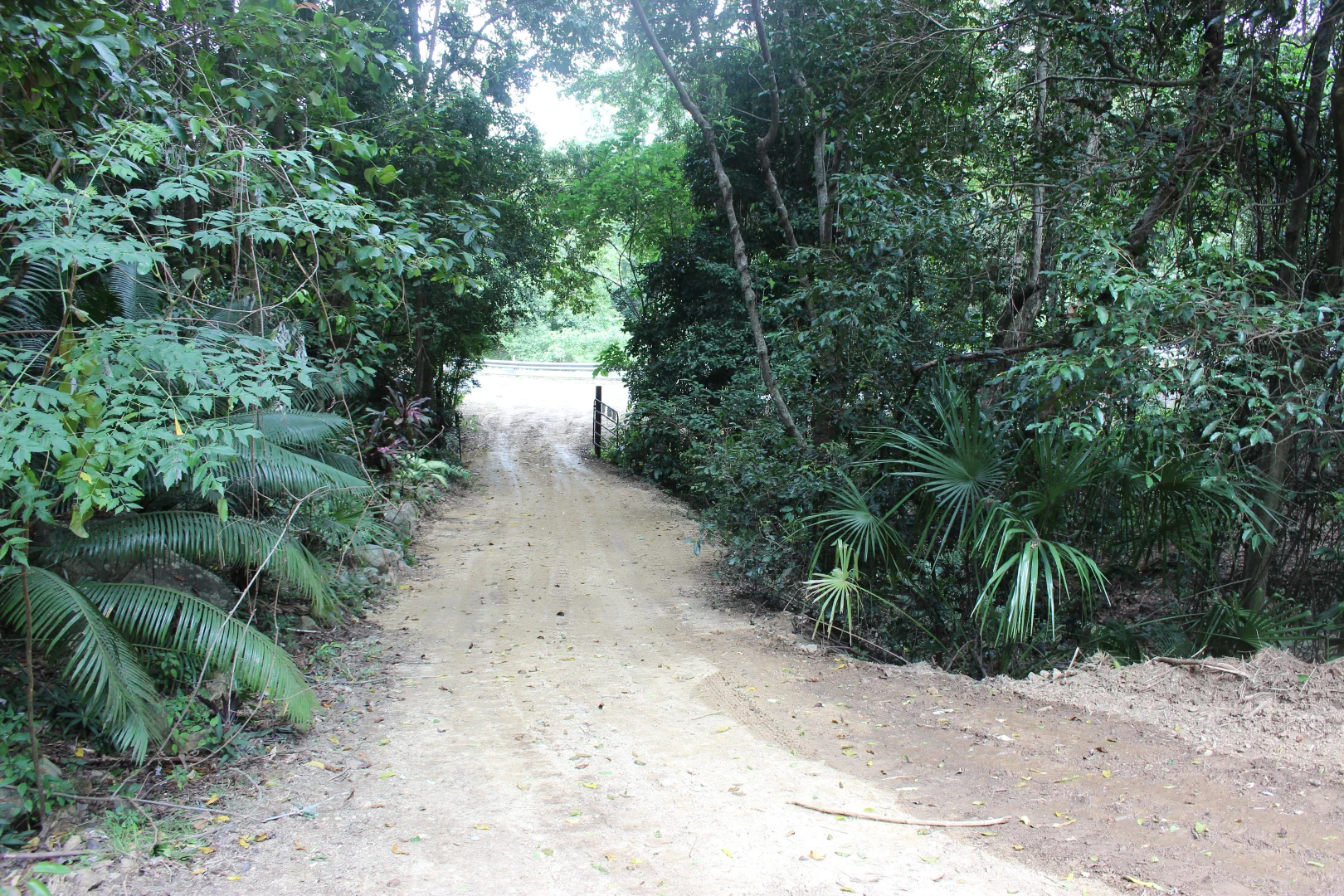 Additional image 25 of 1243 Yakapari-Seaforth Road, Mount Jukes QLD 4740