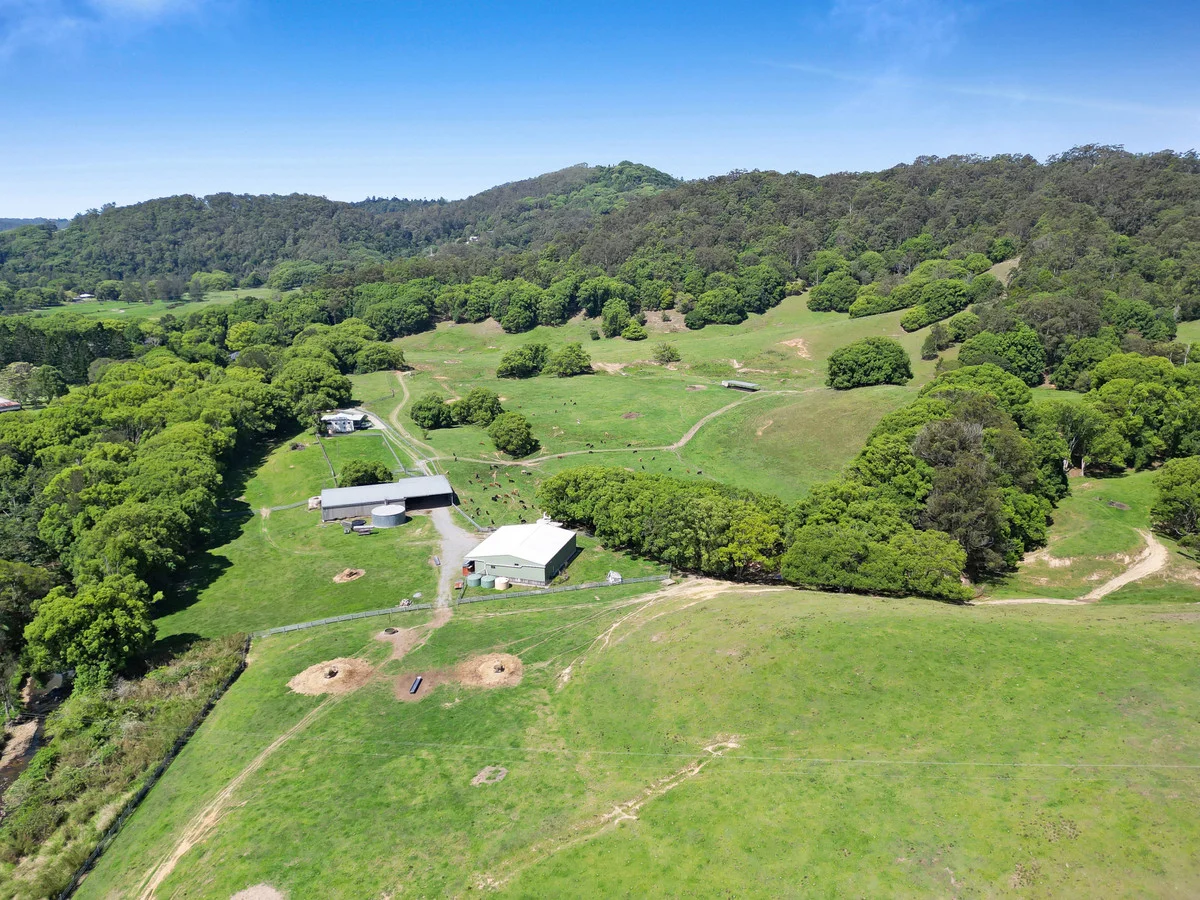 Additional image 18 of 1039 Currumbin Creek Road, Currumbin Valley QLD 4223