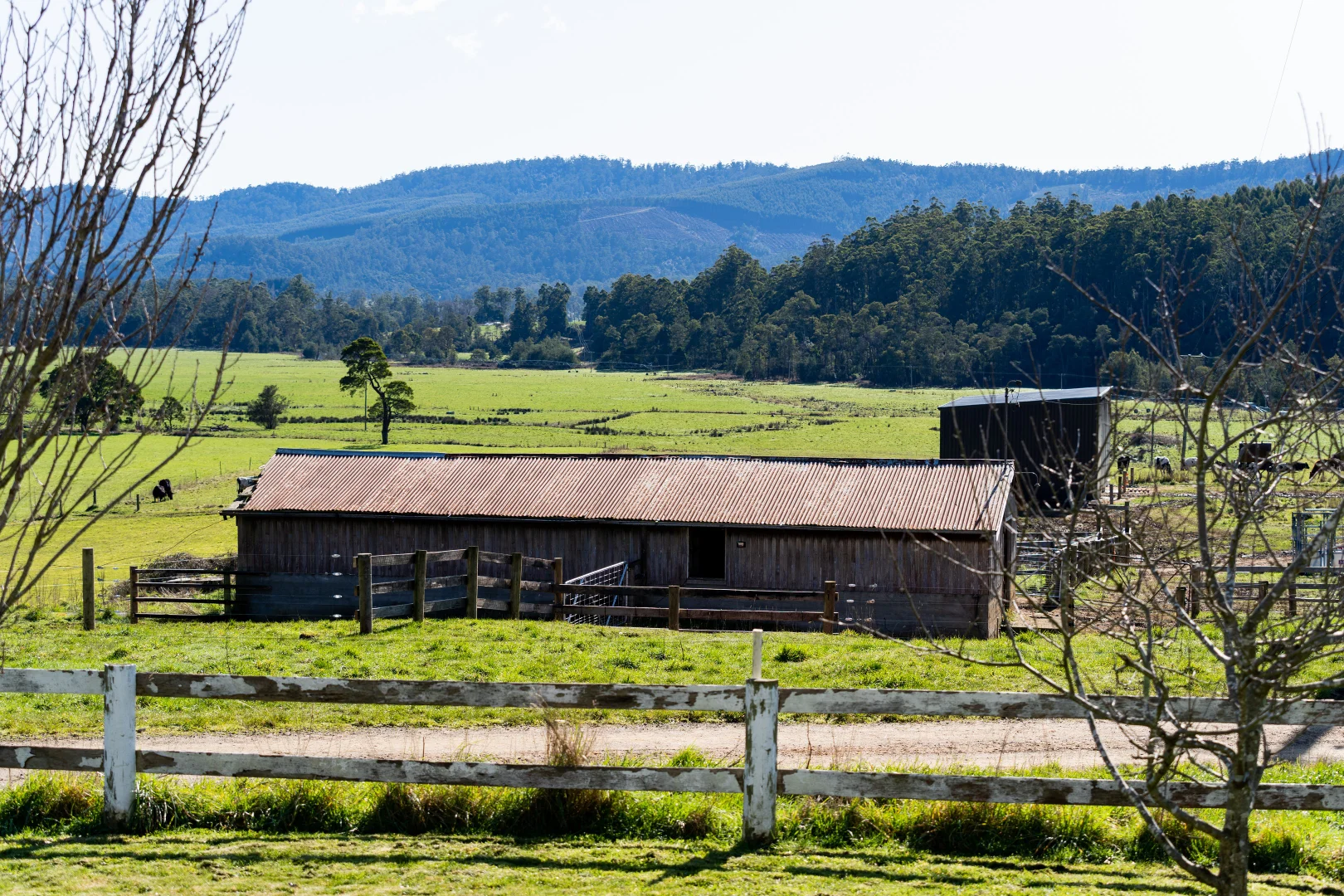 Additional image 12 of Alberton TAS 7263