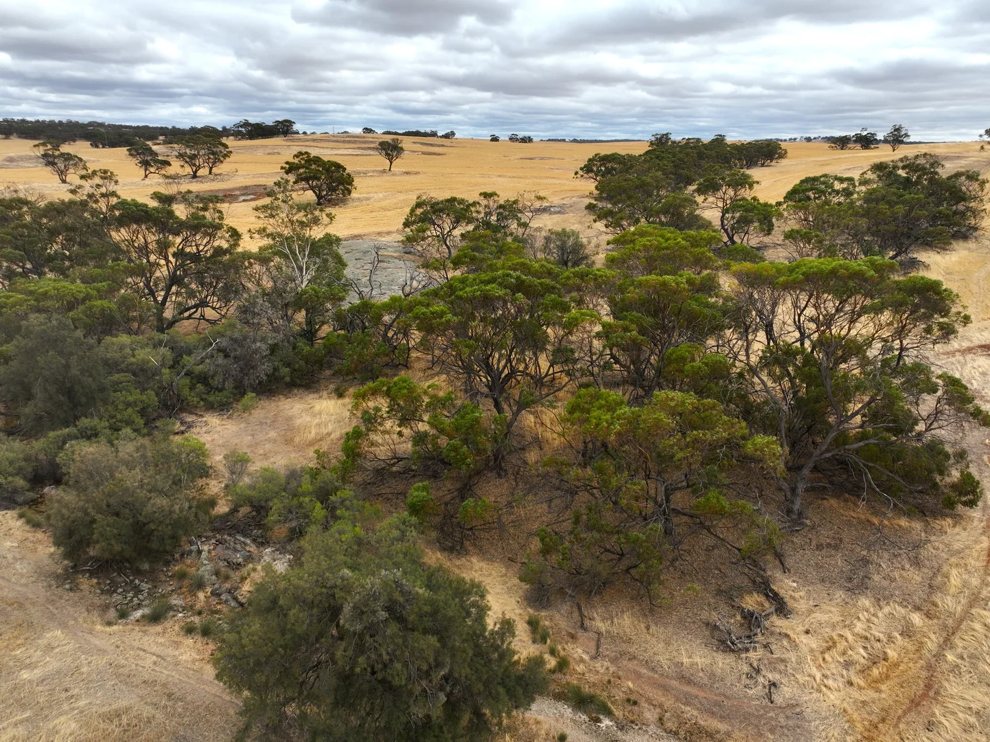 Additional image 7 of LOT/18 Irishtown Road, Buckland WA 6401