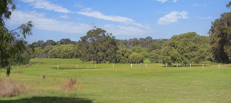 Additional image 5 of Lot 48 Blackwood Grove, Kudardup WA 6290