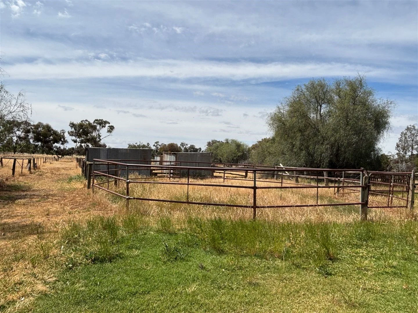 Additional image 11 of 43-51 Corcoran Street, Berrigan NSW 2712