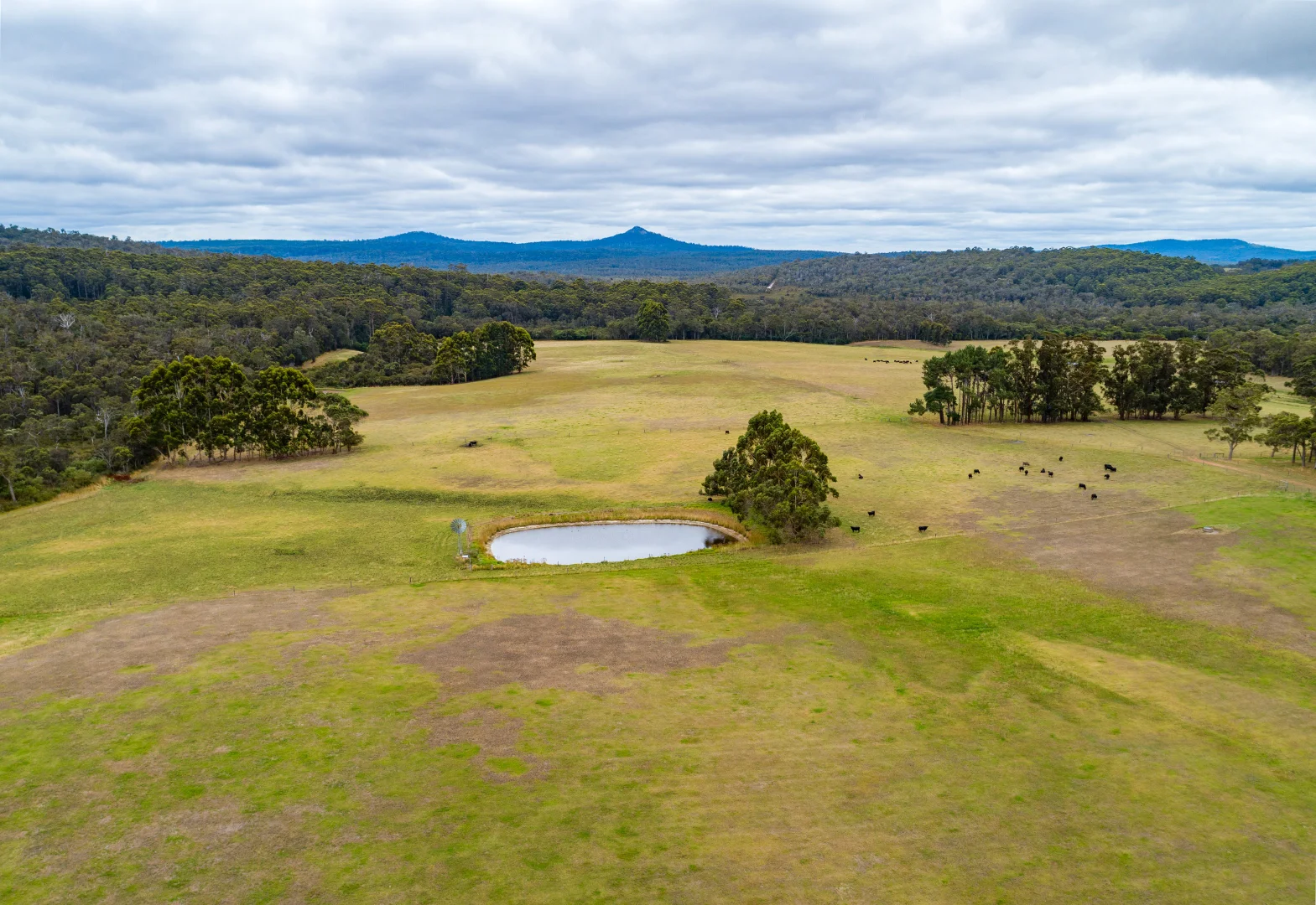 Additional image 5 of 13070, Lot 13070 bridge road, North Walpole WA 6398