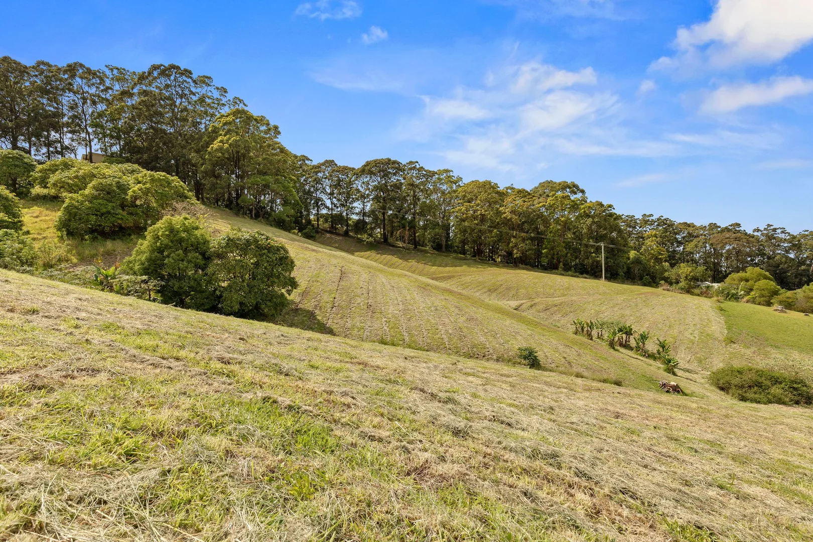 Additional image 7 of 23 Jordans Way, Korora NSW 2450