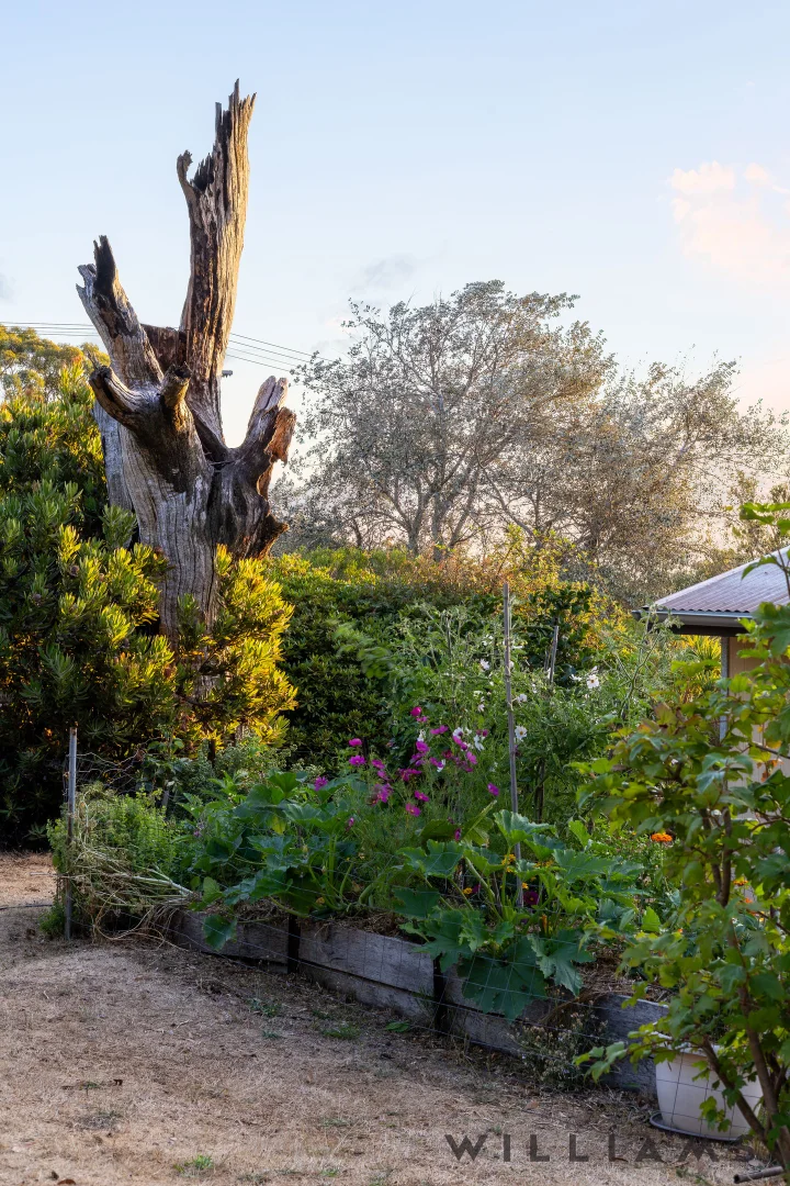 Additional image 12 of 8-10 Owens Street, Crafers SA 5152