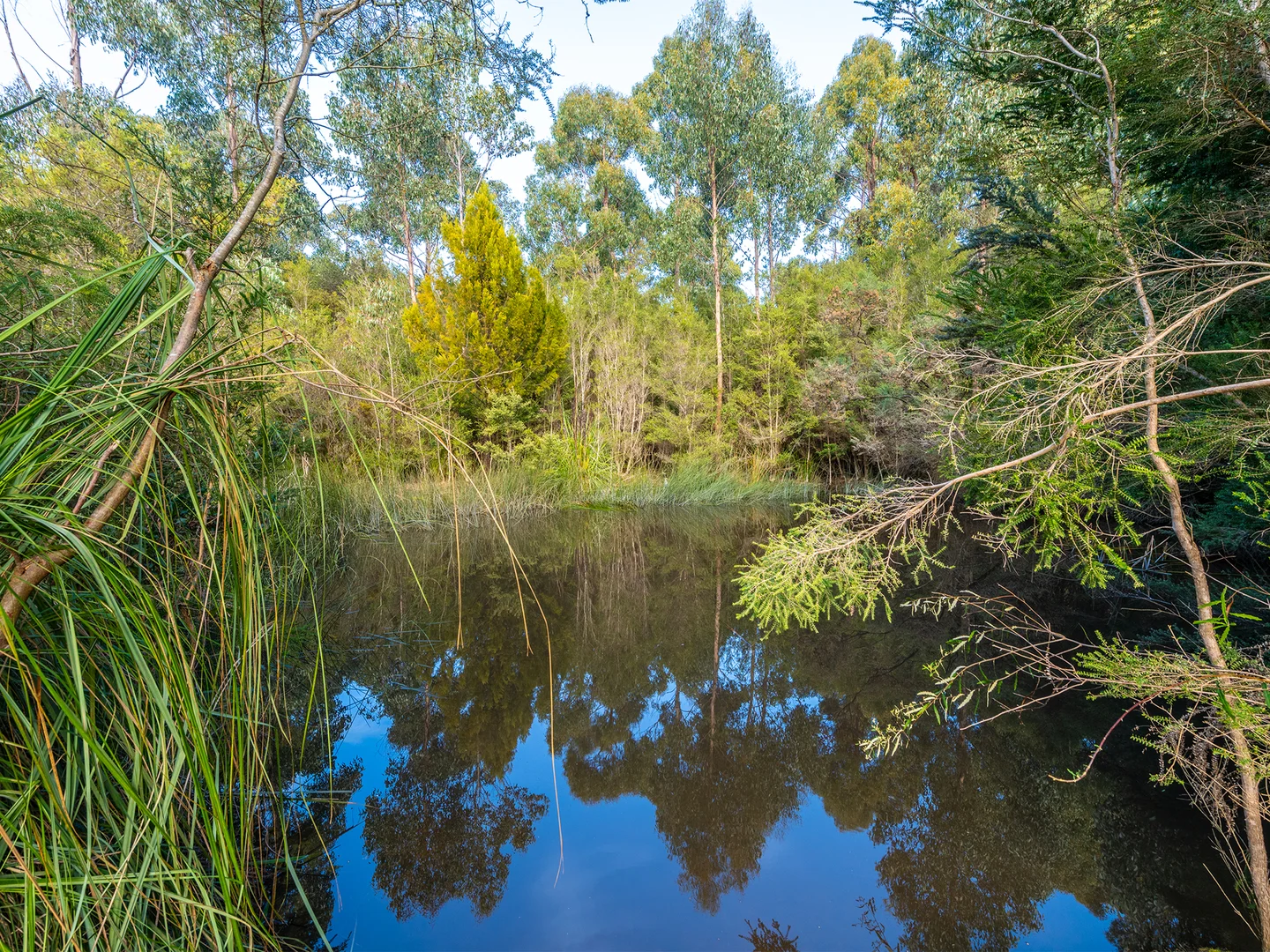 Additional image 8 of 119 Cloudy Bay Road, Lunawanna TAS 7150