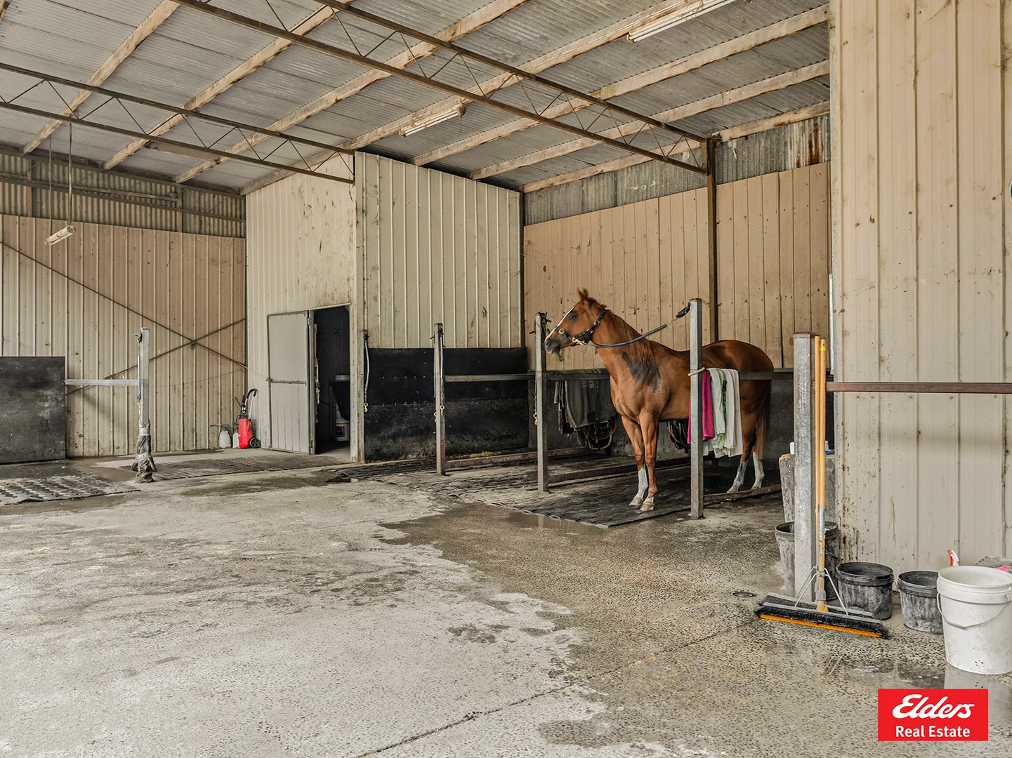 Additional image 12 of 1 Newell Road, Longwarry VIC 3816