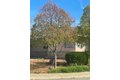 Additional image 3 of 2325 Glen Ellen Cir, Sacramento, CA, 95822