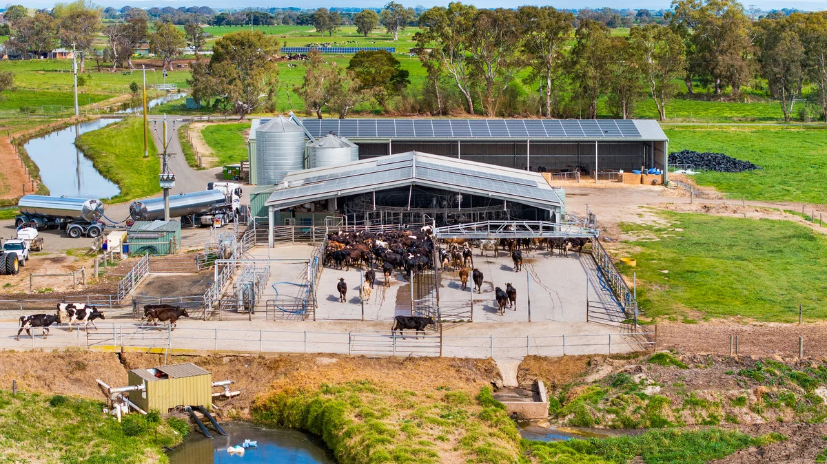 Additional image 7 of 95 Vardys Road, Riverslea VIC 3860