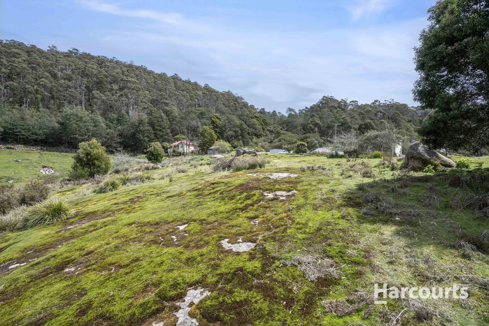 Additional image 11 of Lot 1 Krushka Street, Derby TAS 7264