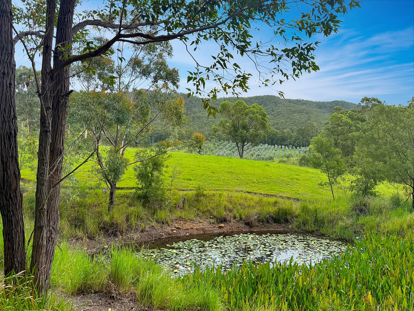 Additional image 27 of 121 Eglinford Lane, Congewai NSW 2325